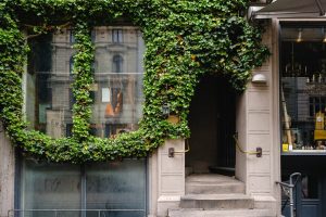 Exterior of an ivy-covered building entrance in Copenhagen, Denmark, showcasing a vintage facade and musical instrument reflection.